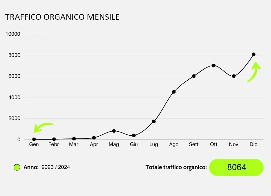 grafico del traffico organico dopo 12 mesi di consulenza seo